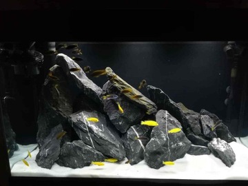10 кг Dark Rock Stone Set Rock для аквариума