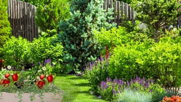 Ящик для овощей, приподнятая грядка, деревянный огород, 100х80