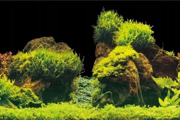Aqua Nova Tło do akwarium 100x50cm Rock/Plants