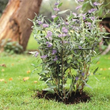 ПЕРГОЛА САДОВАЯ ОПОРА ДЛЯ ЦВЕТОЧНЫХ РАСТЕНИЙ 115 СМ