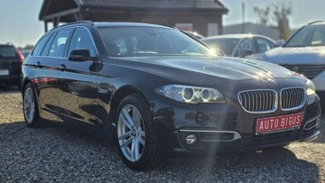 BMW Seria 5 F10-F11 Touring 520d 184KM 2013 BMW 520 duza navi XSENON zarejestrowana nowy, zdjęcie 2