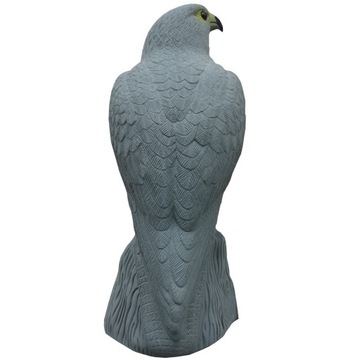 БОЛЬШОЙ ОТПУСКАТЕЛЬ ПТИЦ, ГОЛУБИ, ПОПУСКИ, СОКОЛ на скале, ЭФФЕКТ БЛЕСТЯЩИХ ГЛАЗ