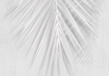 ФОТОобои ПАЛЬМОВЫЕ ЛИСТЬЯ 400x280 b-C-0741-a-a