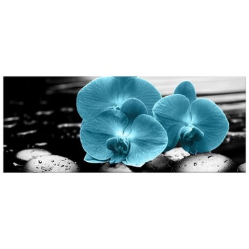 Фотография Орхидея и камни 100х40 Растения 2398A_1I