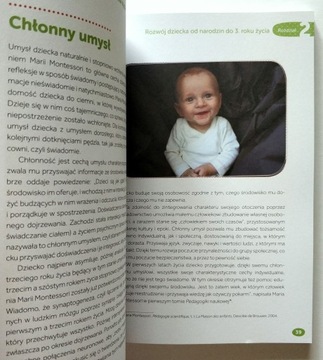 МЕТОДИКА МОНТЕССОРИ ДЛЯ ТРЕТЬЕГО ГОДА, ПУССЕН