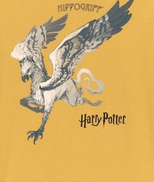 ФУТБОЛКА COCCODRILLO БЛУЗКА «ГАРРИ ПОТТЕР» R 146