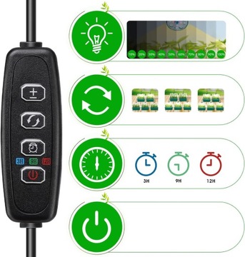 НАБОР ДЛЯ ПРОРАЩИВАНИЯ РАСТЕНИЙ С ПРОЗРАЧНЫМИ КРЫШКАМИ, САД, ТЕПЛИЦА