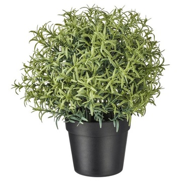 IKEA FEJKA Sztuczna roślina doniczkowa rozmaryn 9
