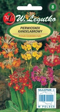 Pierwiosnek kandelabrowy mieszanka 0,02g