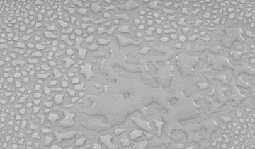 3x3x3m сад солнечные папоротники