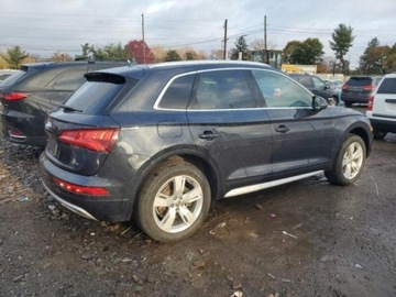 Audi Q5 II 2019 Audi Q5 2019r., Premium Plus, od ubezpieczalni 2.0 Benzyna 248KM, zdjęcie 4