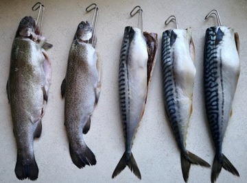 Крючок крючок для копчения рыбы DOUBLE ZUT TOGO