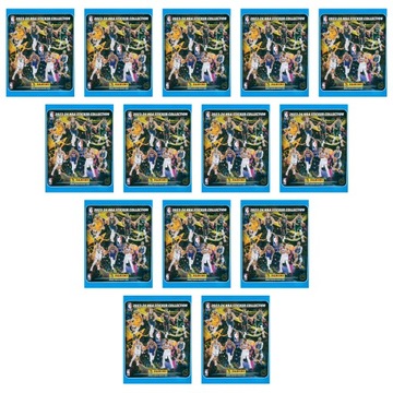 Saszetki Naklejki NBA 2024 Panini koszykówka Stickers Collection do albumu