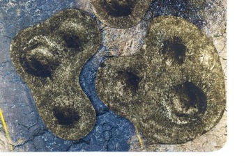 TERENY 2D UNIWERSALNE - KRATERY