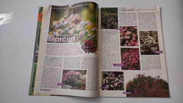 Дзялковец 11 1998 г.