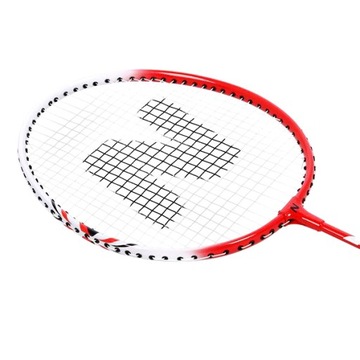 Набор 9 в 1 для бадминтона 2 шт. Ракетки + 6 шт. Красочные воланы