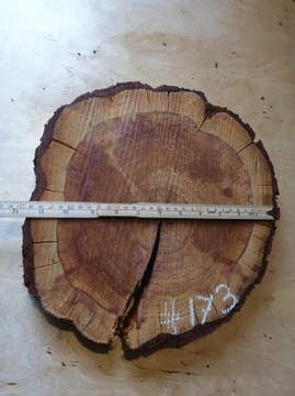 Диски из смолы Mirabelle Wood Slices 30x30 Gr4