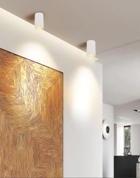 НАВЕРХНОСТНЫЕ ГАЛОГЕННЫЕ СВЕТОДИОДНЫЕ СВЕТИЛЬНИКИ Белый Gu10