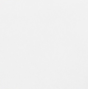 SERWETKI ŚWIĄTECZNE FLIZELINOWE DUNI BIAŁE 60szt