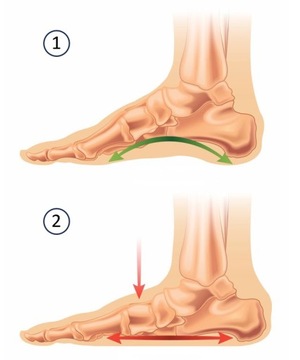 3/4 ортопедические вставки для продольных плоских ног с амортизацией на пятке вая