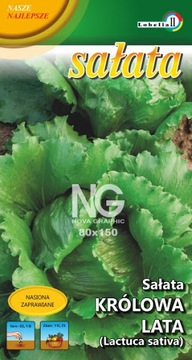 Sałata Głowiasta krucha KRÓLOWA LATA Lobelia 1g