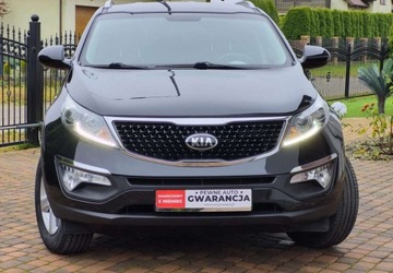 Kia Sportage III SUV Facelifting 1.6 GDI 135KM 2015 Kia Sportage Kia Sportage 1.6 Benzyna 135KM, zdjęcie 30