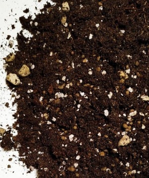 Podłoże do Calathea, Maranta, Ctenanthe, Kalatea