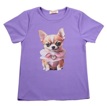 BLUZKA top nadruk FIOLET piesek t-shirt PRĄŻKI 110/116 (6) CK303