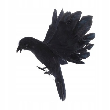 Flying Crow Decoy Ptaki straszą ludzi Strach na wr