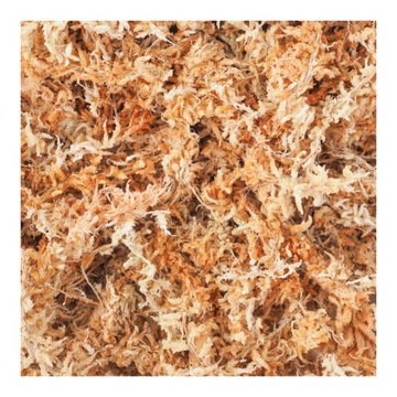 MECH TORFOWIEC - SPHAGNUM - 1 L martwy