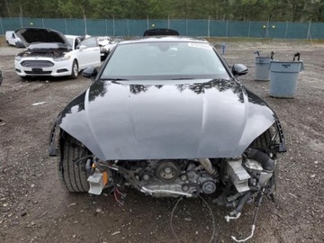 Audi A5 F5 2019 Audi RS5 2019r., 4x4, 2.9L, zdjęcie 4