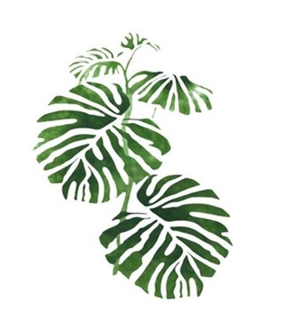 MALOWANIE PO NUMERACH DIY LIŚĆ MONSTERA OBRAZ m4