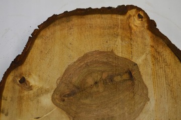 Срез каштана 55х49см Толщина 6 см для смол