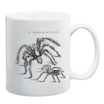 KUBEK pająk pająki ptasznik tarantula wzory