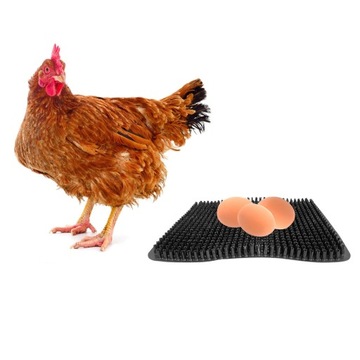 Куриные гнезда для кладки яиц.