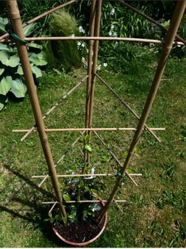 Бамбуковая лестница с повязкой на голову 105 см /10 шт/