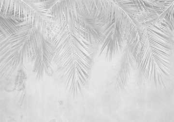 FOTOTAPETA PREMIUM LIŚCIE PALMY SZARE BIEL TAPETA NA ŚCIANĘ BOHO 3D 350x256