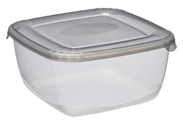 Pojemnik do żywności, POLAR 2,5 L Plast Team