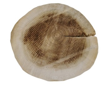 Plaster Topoli 63x61cm Różne Kształty i Rozmiary