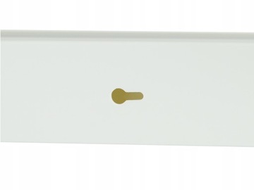 LISTWA ELEKTROINSTALACYJNA KANAŁ KABLOWY KORYTKO Z POKRYWĄ 40x16mm 2m BKK