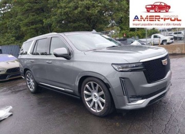 Cadillac Escalade III 2021 Cadillac Escalade Premium Luxury Platinum 2021 6.2l 6.2 Benzyna 420KM