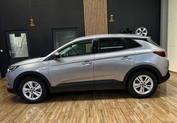Opel 2019 Opel Grandland X 130 KM manual BEZWYPADKOWY gwarancja ZAREJESTROWANY, zdjęcie 11