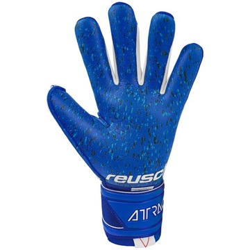Reusch Attrakt Freegel Fusion 8.5 Бесплатно