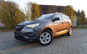 Opel 2017 Opel Grandland X Bezwypadkowy Serwisowany 1-Wlasciciel Grz.Fotele Kierowni, zdjęcie 11