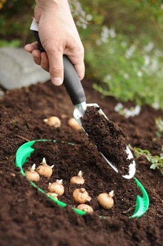 КОРЗИНА 20 ПОСАДОЧНЫХ ЛУКОВИЧНЫХ ЛУКОВИЧНЫХ КОРЗИНА КРЫШКИ