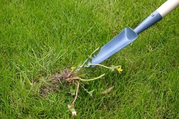 СЪЕМНИК ДЛЯ СТРОИТЕЛЬНЫХ И КОРНЕРЕЗНЫХ СРЕДСТВ ДЕРЕВЯННАЯ РУЧКА ДЕРЕВЯННАЯ РУЧКА