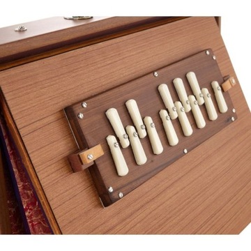 Профессиональный бокс Шрути Томанн Натарадж Проф. Шрути Бокс Фем.