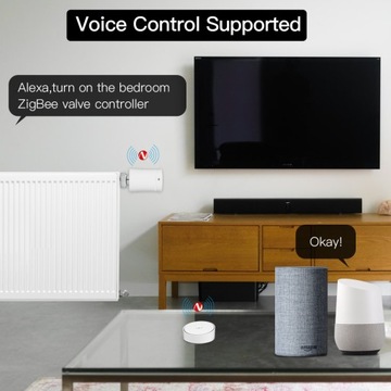 Centralka Bramka ZigBee 3.0 TUYA Alexa Google Home