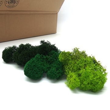Декоративный мох, 3 ЦВЕТА