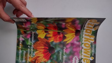 Дзялковец 11 1998 г.